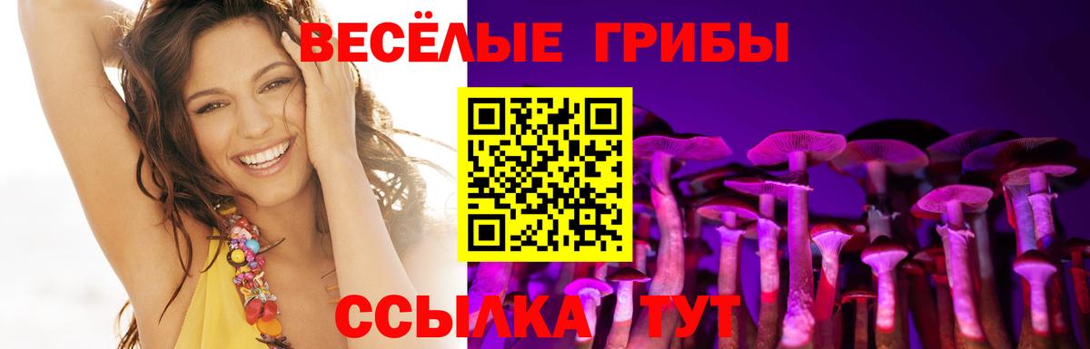 Псилоцибиновые грибы прущие грибы  Вход с VPN  Губкин 